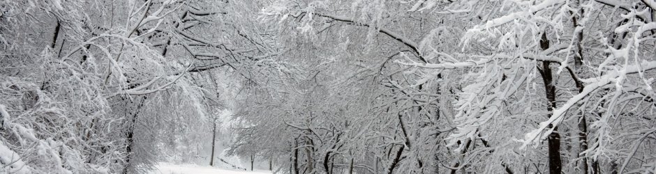 Halálos veszély a téli utakon: ezekre figyeljünk